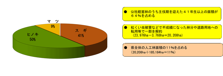 樹種別面積割合グラフ